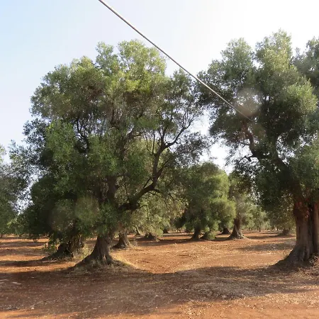 וילה Riserva Torre Guaceto Puglia