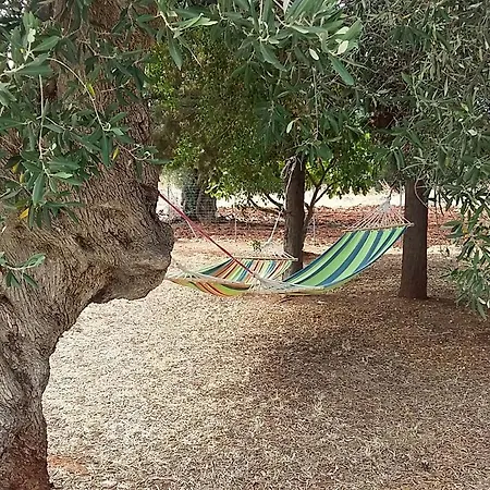 Villa Riserva Torre Guaceto Puglia *