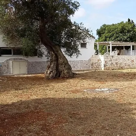 Riserva Torre Guaceto Puglia Villa