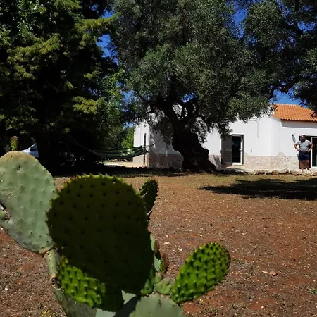 וילה Riserva Torre Guaceto Puglia